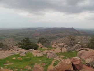 Wichita Mountains Vegetation Complex