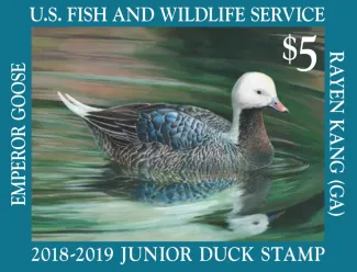 Jr. duck stamp 2018