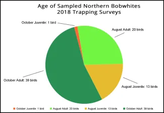Quail age chart 2018