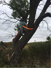 Woman conducting quail research 