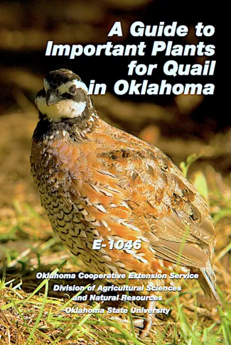 Quail plant guide. 