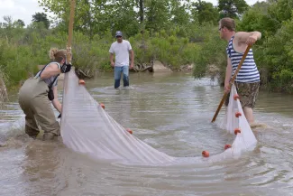 Pond Management, Fish Population Assessment, biologist seining water.