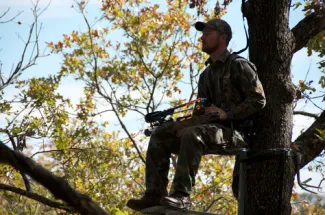 Archery hunter in tree stand.
