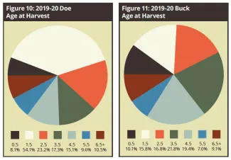 Fig 10: 2019-20 Doe Age at Harvest, Fig 11: 2019-20 Buck Age at Harvest - 2019/20 Big Game Report