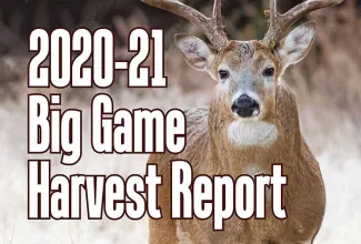 2020-21 Big Game Harvest Report