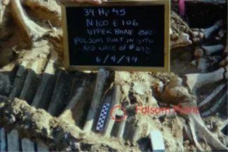 Folsom Point, Bement & Dig