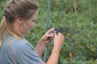 Woman remove bird from net.