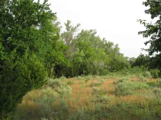 Black Kettle before, photo by Jeremiah Zurenda