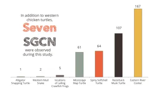 Chicken Turtle Survey Species Results Chart