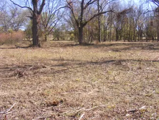 Cost-share programs help landowners enhance wildlife habitat through timber thinning, creating forest openings, cedar cuttings, wetland development, and many more practices.