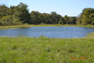 Farm Pond, photo by William McCoy/USFWS