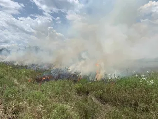 Growing season burn, photo by Lead Lowe/ODWC.