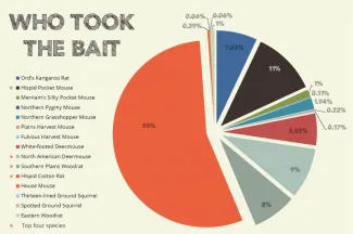 Kangaroo Rat pie chart.