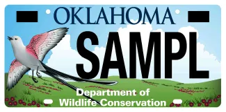 Scissor-tailed Flycatcher license plate.