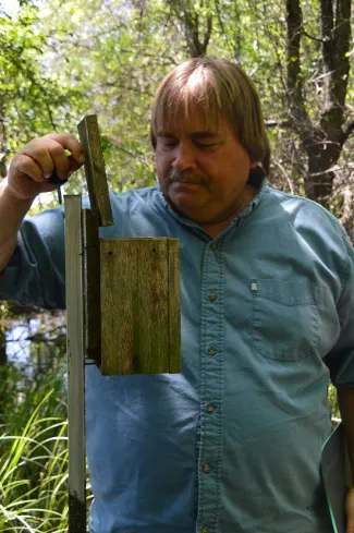 Man opening nest box.