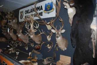 Inside of the Operation Game Thief trailer.