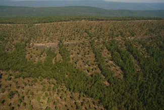 Pushmataha WMA after.