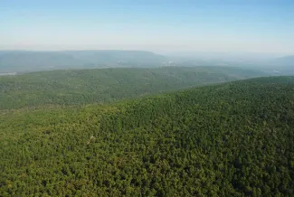 Pushmataha WMA before.