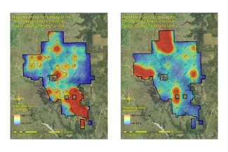 Rattlesnake Master Borer heat maps.