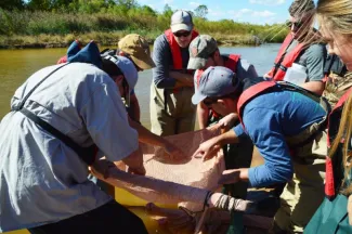 Class seining for Arkansas River Shiner.