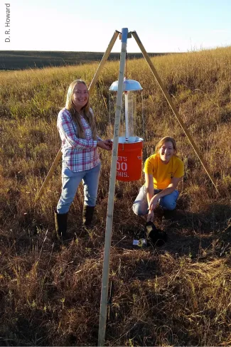 Light traps were set at 50 sites in the Joseph H. Williams Tallgrass Prairie Preserve. (D. R. Howard)