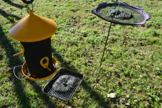 Three bird feeder examples.