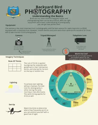 Backyard Bird Photography - Understanding the Basics