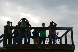 Bird watchers on a tower.