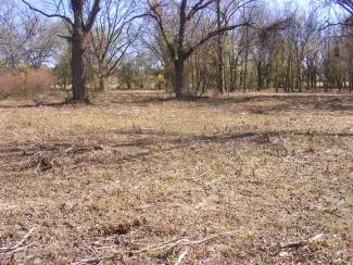 Clearing, open area.  Photo by Kyle Johnson/ODWC