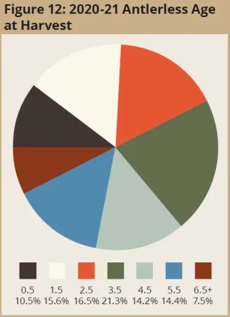 Figure 12: 2020-21 Antlerless Age at Harvest
