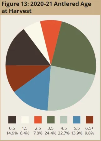 Figure 13: 2020-21 Antlered Age at Harvest