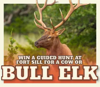 Bull Elk Raffle Graphic