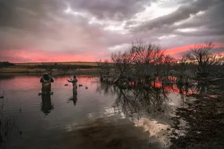 Duck hunters stand in a pool of water setting out decoys. Photo by Sarah Southerland