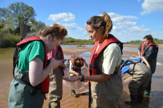 Students photographing fish being seined.
