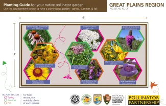 Planting guide for your native pollinator garden.