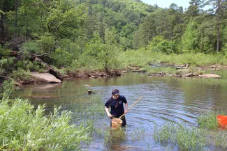 Student with dip net it water.
