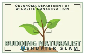 Shutter Slam Budding Naturalist