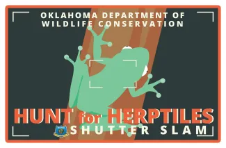 Shutter Slam Herptile