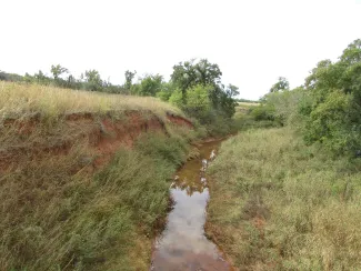 Creek with eroding banks.