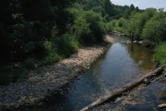 Microfishing with Colby at Illinois River.  Photo by Darrin Hill
