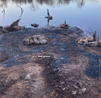 Pond habitat management shoreline showing gravel.