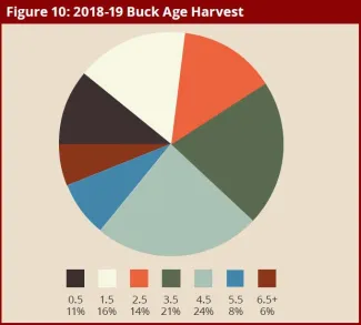 BGR 2018-2019: Figure 10: 2018-19 Buck Age Harvest