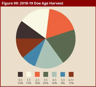 BGR 2018-2019: Figure 9: 2018-19 Doe Age Harvest