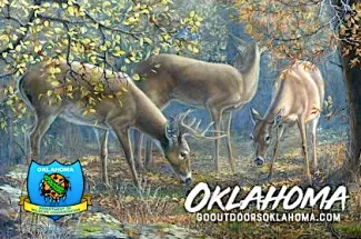 2022 Hardcard License Art by Carolyn Mock