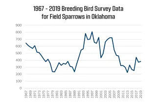 A graphical representation of field sparrows documented in Oklahoma during the Breeding Bird Survey.