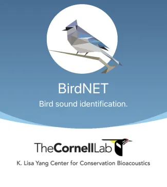 A screenshot of the BirdNET app. 