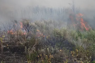 A smoky prescribed fire burning through a sagebrush grassland.
