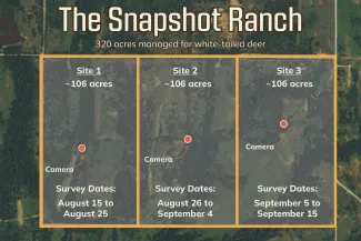 Graphic showing hypothetical camera placement during a survey