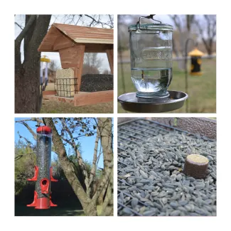 A collage of feeders at different heights