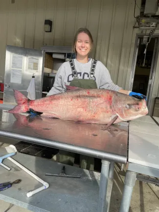 ODWC ANS Coordinator with a Bighead Carp